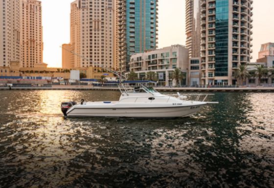 Speed Boat Walk Around 31ft