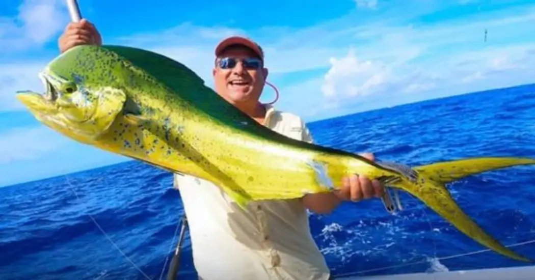 Deep Sea Fishing Dubai